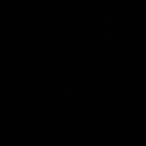 Meet your Posher, Mallory